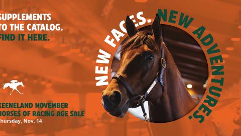 neiman to the wire